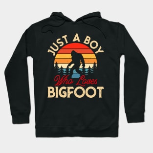 Just a boy who loves Bigfoot! Hoodie